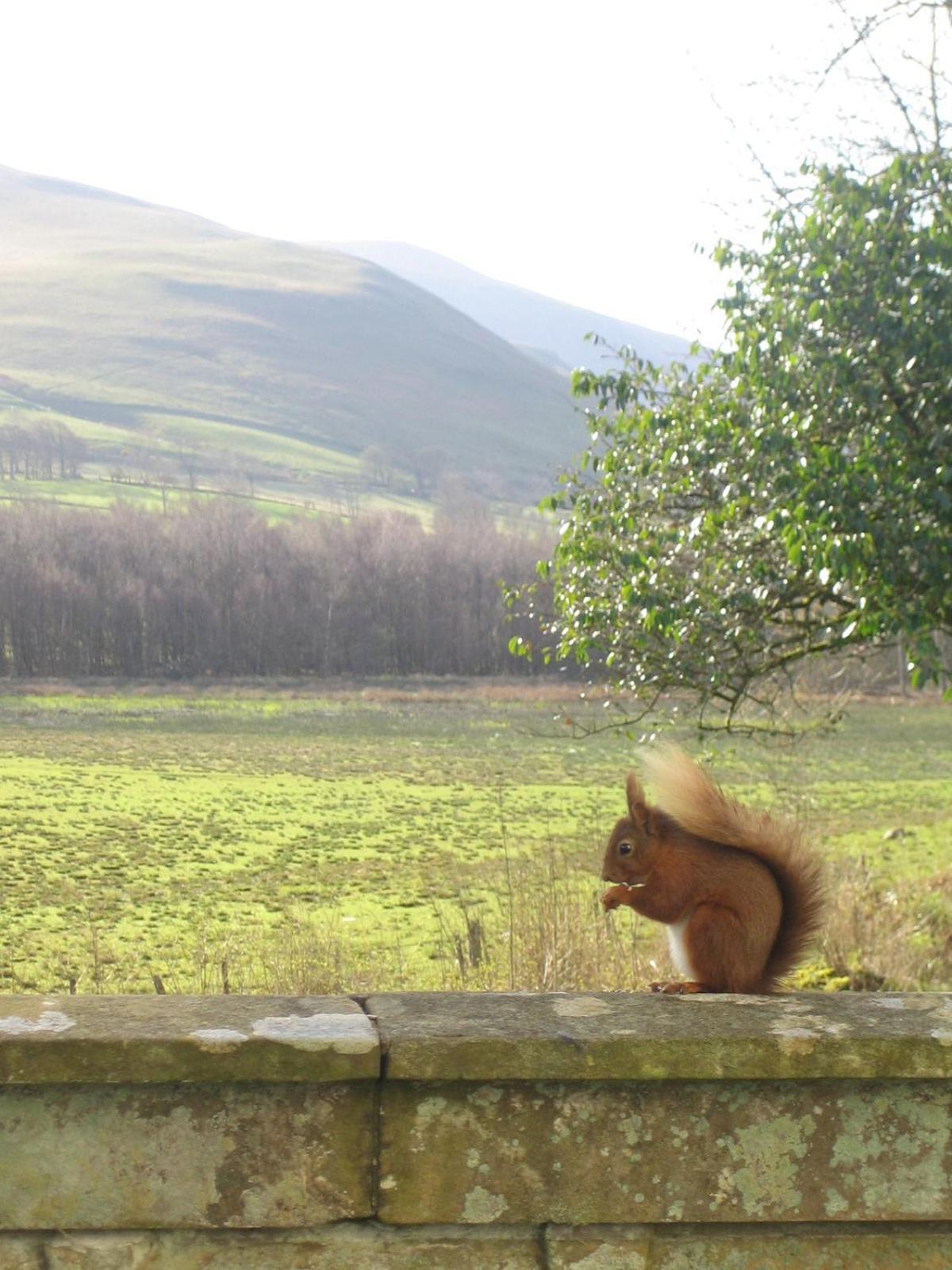 Overwater Hall Bassenthwaite Exterior foto